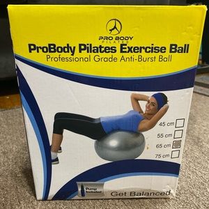 Exercise ball